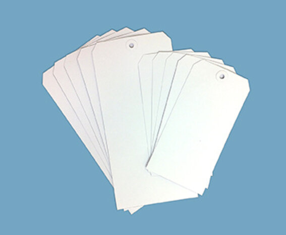 Ranger Dina Wakley MEdia White Tags Assortiment #8 & #10 (2x5pcs) (MDA64619) Ranger Dina Wakley MEdia White Tags Assortiment #8 & #10 (2x5pcs) (MDA64619)