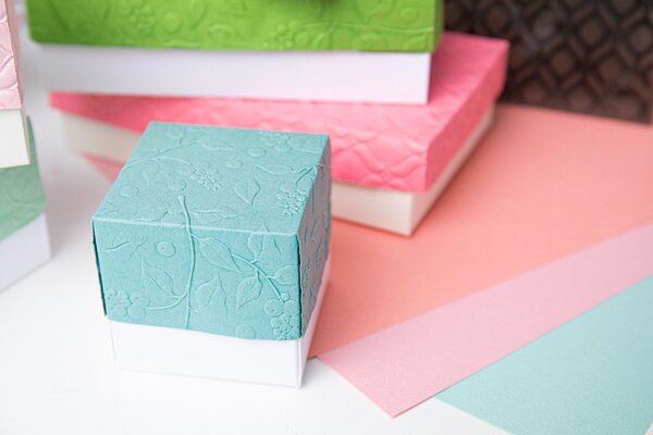 Sizzix 3D Textured Impressions by Kath Breen Snowberry (666506)