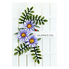 Spellbinders Aster Etched Dies (S1-128) Spellbinders Aster Etched Dies (S1-128)