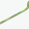 Aall and Create Washi Tape 20mm 10m Eat Your Greens (AALL-MT-085) (DISCONTINUED) Aall and Create Washi Tape 20mm 10m Eat Your Greens (AALL-MT-085) (DISCONTINUED)