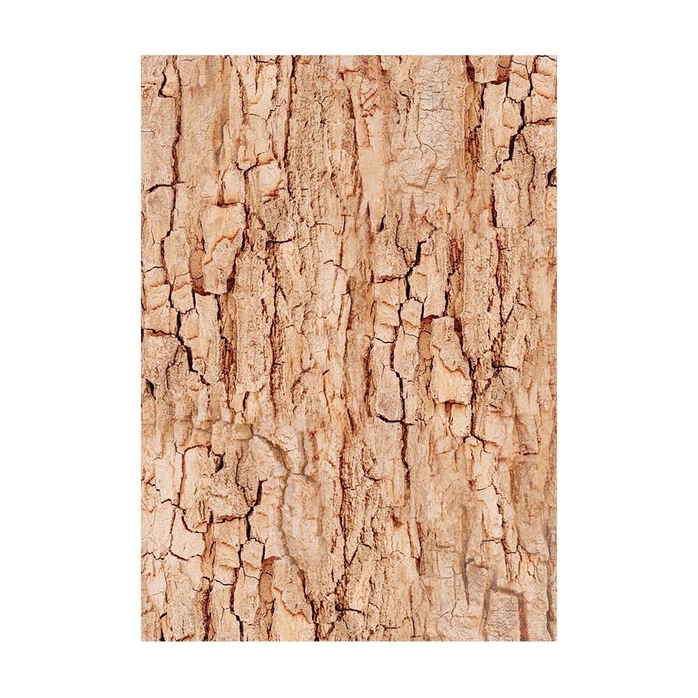 Stamperia Woodland A6 Rice Paper Backgrounds (8pcs) (DFSAK6011) (DISCONTINUED) Stamperia Woodland A6 Rice Paper Backgrounds (8pcs) (DFSAK6011) (DISCONTINUED)