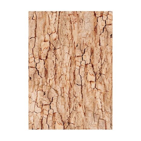 Stamperia Woodland A6 Rice Paper Backgrounds (8pcs) (DFSAK6011) (DISCONTINUED) Stamperia Woodland A6 Rice Paper Backgrounds (8pcs) (DFSAK6011) (DISCONTINUED)