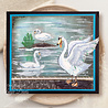 Pink Ink Designs Swan Jovi A5 Clear Stamps (PI227) (OUTLET) Pink Ink Designs Swan Jovi A5 Clear Stamps (PI227) (OUTLET)