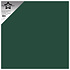 Deep Green 12x12 Inch Smooth Cardstock 220gsm (10pcs) (PFSS508)