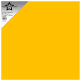 Paper Favourites Golden 12x12 Inch Smooth Cardstock 220gsm (10pcs) (PFSS503)