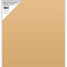 Paper Favourites Gold Pearl A4 Mirror Card Matte 250gsm (5pcs) (PFFS007) (DISCONTINUED) Paper Favourites Gold Pearl A4 Mirror Card Matte 250gsm (5pcs) (PFFS007) (DISCONTINUED)