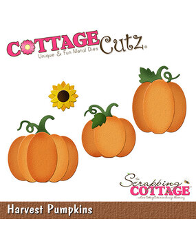 Scrapping Cottage Harvest Pumpkins (CC-1273) (OUTLET)