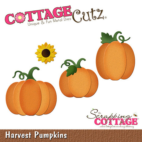 Scrapping Cottage Harvest Pumpkins (CC-1273) (OUTLET) Scrapping Cottage Harvest Pumpkins (CC-1273) (OUTLET)