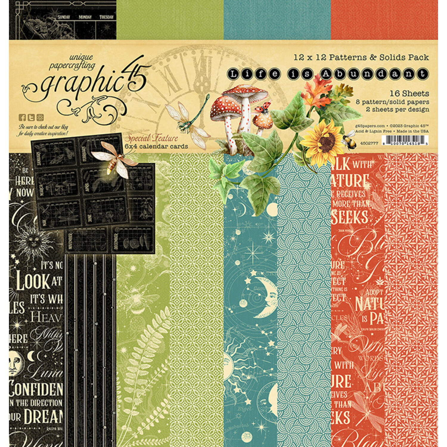  Graphic 45 Charmed Collection Pack and Patterns & Solids Pack  - 12x12 Decorative Papers - 2 Items : Arts, Crafts & Sewing