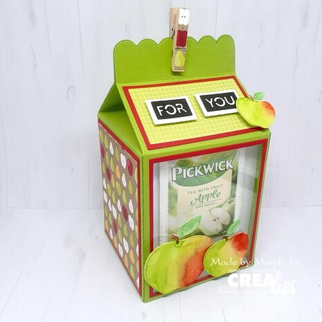 Crealies Create A Box Large Stansen No. 6 Melkpak Groot (CCABL06)