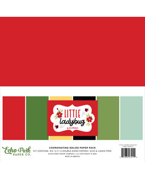 Echo Park Little Ladybug 12x12 Inch Coordinating Solids Paper Pack (LLB347015) (DISCONTINUED)