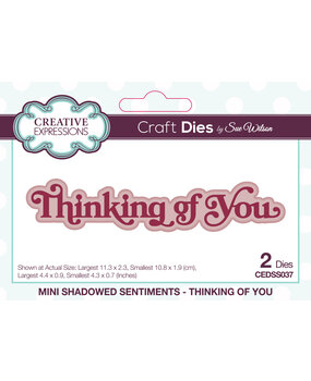 Creative Expressions Sue Wilson Craft Die Mini Shadowed Sentiments Thinking Of You (CEDSS037) (OUTLET)
