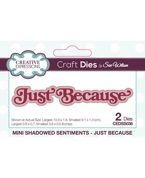 Creative Expressions Sue Wilson Craft Die Mini Shadowed Sentiments Just Because (CEDSS036) (OUTLET)