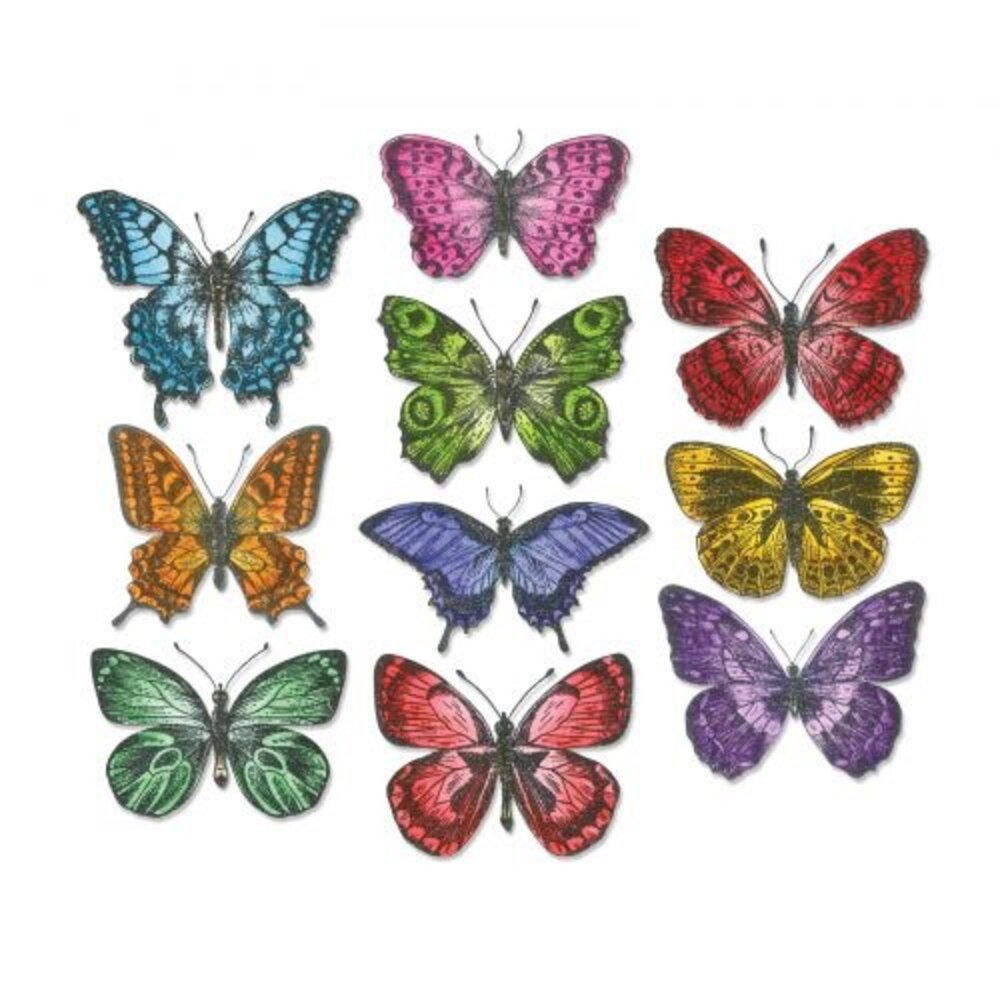 Sizzix Framelits Die by Tim Holtz Flutter (20pcs) (662269)
