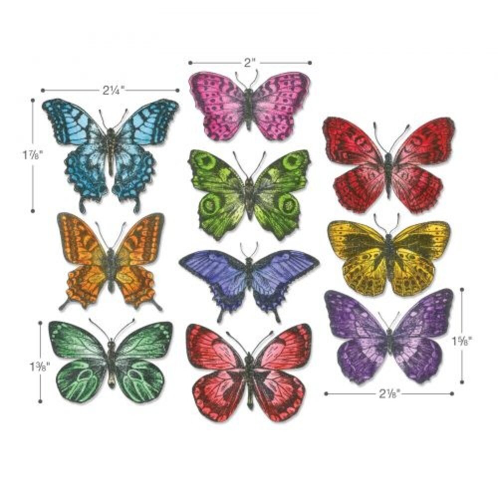Sizzix Framelits Die by Tim Holtz Flutter (20pcs) (662269)