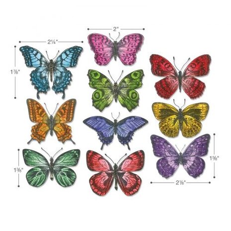 Sizzix Framelits Die by Tim Holtz Flutter (20pcs) (662269)