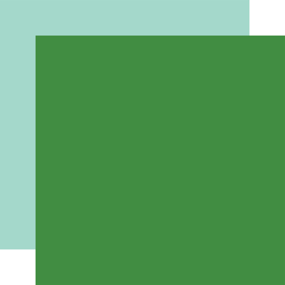Echo Park Happy St. Patrick's Day 12x12 Inch Coordinating Solids Paper Pack (SPD350015) (DISCONTINUED) Echo Park Happy St. Patrick's Day 12x12 Inch Coordinating Solids Paper Pack (SPD350015) (DISCONTINUED)