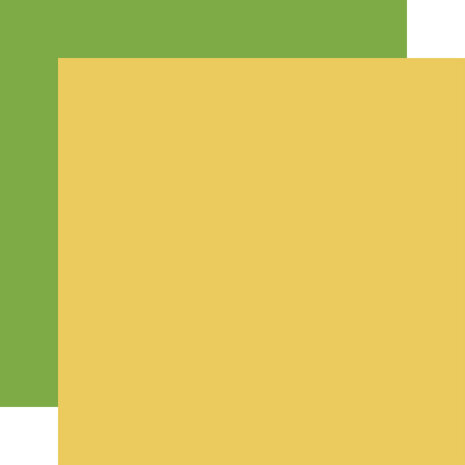Echo Park Happy St. Patrick's Day 12x12 Inch Coordinating Solids Paper Pack (SPD350015) (DISCONTINUED) Echo Park Happy St. Patrick's Day 12x12 Inch Coordinating Solids Paper Pack (SPD350015) (DISCONTINUED)