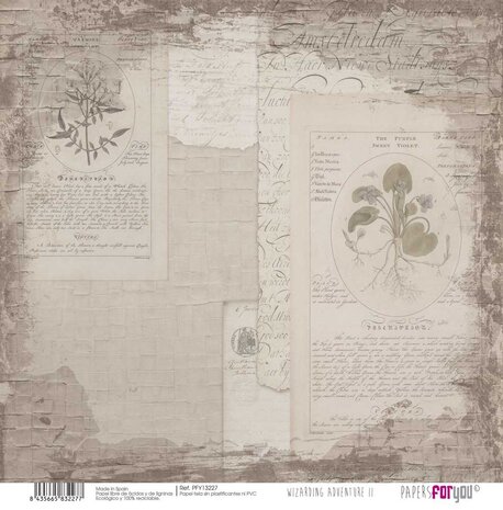Papers For You Wizarding Adventure II Canvas Scrap Pack (8pcs) (PFY-13222) (DISCONTINUED)