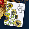 Spellbinders Sunflower Field Press Plate (BP-094) (OUTLET) Spellbinders Sunflower Field Press Plate (BP-094) (OUTLET)