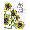 Spellbinders Sunflower Field Press Plate (BP-094) (OUTLET) Spellbinders Sunflower Field Press Plate (BP-094) (OUTLET)