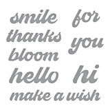 Spellbinders Fresh Picked Sentiments Etched Dies (S4-1329) (OUTLET)