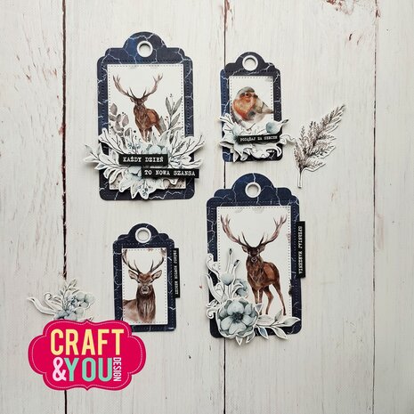 Craft & You Design Tag Set Dies (CYD-CW269)