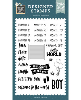 Echo Park Baby Boy Stats Clear Stamps (SDB353046) (OUTLET)