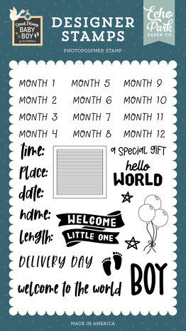 Echo Park Baby Boy Stats Clear Stamps (SDB353046) (DISCONTINUED) Echo Park Baby Boy Stats Clear Stamps (SDB353046) (DISCONTINUED)