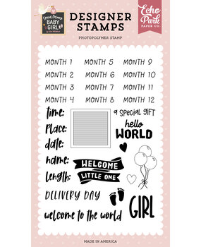 Echo Park Baby Girl Stats Clear Stamps (SDG354047) (OUTLET)