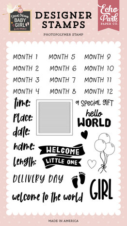 Echo Park Baby Girl Stats Clear Stamps (SDG354047) (OUTLET)