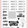 Echo Park Baby Girl Stats Clear Stamps (SDG354047) (OUTLET)