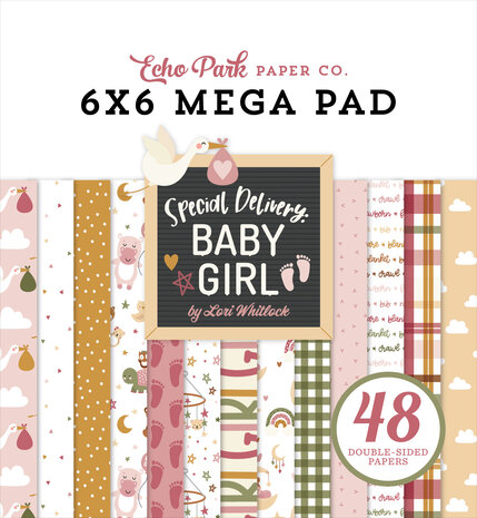 Echo Park Special Delivery Baby Girl 6x6 Inch Cardmakers Mega Pad (SDG354031) (DISCONTINUED) Echo Park Special Delivery Baby Girl 6x6 Inch Cardmakers Mega Pad (SDG354031) (DISCONTINUED)
