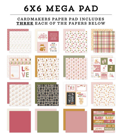 Echo Park Special Delivery Baby Girl 6x6 Inch Cardmakers Mega Pad (SDG354031) (DISCONTINUED) Echo Park Special Delivery Baby Girl 6x6 Inch Cardmakers Mega Pad (SDG354031) (DISCONTINUED)