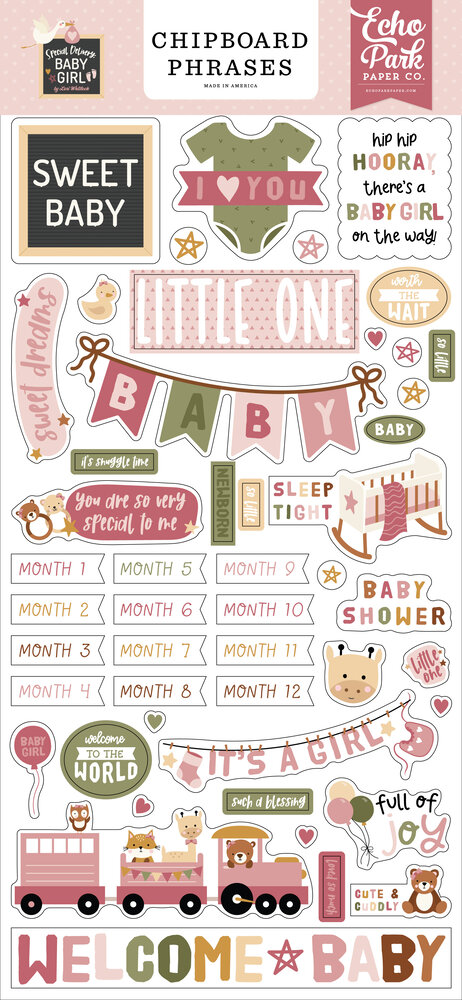 Echo Park Special Delivery Baby Girl Chipboard Phrases (SDG354022) (DISCONTINUED)