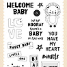 Echo Park Baby Blocks Clear Stamps (SDY355045) (OUTLET) Echo Park Baby Blocks Clear Stamps (SDY355045) (OUTLET)