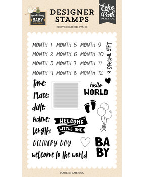Echo Park Baby Stats Clear Stamps (SDY355044) (DISCONTINUED)