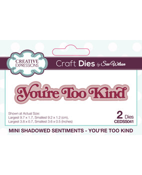 Creative Expressions Sue Wilson Craft Die Mini Shadowed Sentiments You're Too Kind (CEDSS041) (OUTLET)