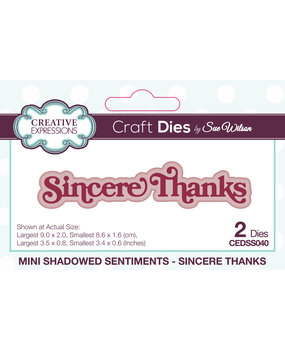 Creative Expressions Sue Wilson Craft Die Mini Shadowed Sentiments Sincere Thanks (CEDSS040) (OUTLET)