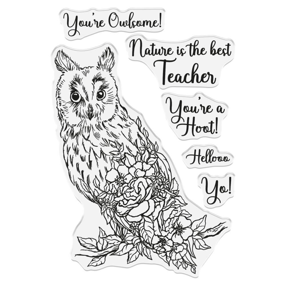 Crafter's Companion Garden Visitors Stamp & Die You're a Hoot (SD-GV-STD-YOHO) (DISCONTINUED) Crafter's Companion Garden Visitors Stamp & Die You're a Hoot (SD-GV-STD-YOHO) (DISCONTINUED)