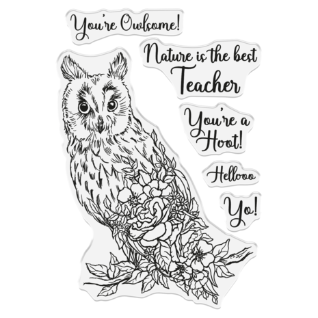 Crafter's Companion Garden Visitors Stamp & Die You're a Hoot (SD-GV-STD-YOHO) (DISCONTINUED) Crafter's Companion Garden Visitors Stamp & Die You're a Hoot (SD-GV-STD-YOHO) (DISCONTINUED)