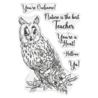 Crafter's Companion Garden Visitors Stamp & Die You're a Hoot (SD-GV-STD-YOHO) (DISCONTINUED) Crafter's Companion Garden Visitors Stamp & Die You're a Hoot (SD-GV-STD-YOHO) (DISCONTINUED)
