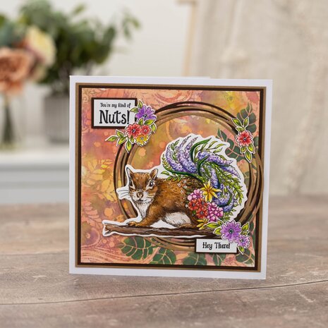 Crafter's Companion Garden Visitors Stamp & Die Nuts About You (SD-GV-STD-NUYO) (DISCONTINUED) Crafter's Companion Garden Visitors Stamp & Die Nuts About You (SD-GV-STD-NUYO) (DISCONTINUED)