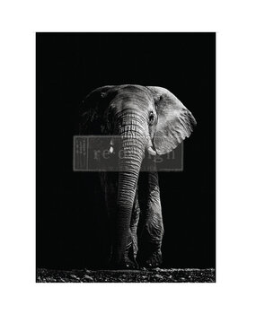 Re-Design with Prima Shadows Of Wisdom A1 Decoupage Fiber (1pcs) (669089) (DISCONTINUED)