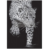 Re-Design with Prima Feline Gaze A1 Decoupage Fiber (1pcs) (669058) (DISCONTINUED)