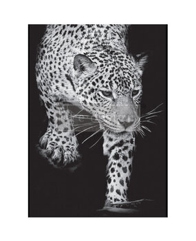 Re-Design with Prima Feline Gaze A1 Decoupage Fiber (1pcs) (669058) (DISCONTINUED)