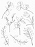 Sketchy Blooms Clear Stamps (CS-856) Sketchy Blooms Clear Stamps (CS-856)