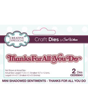 Creative Expressions Sue Wilson Craft Die Mini Shadowed Sentiments Thanks For All You Do (CEDSS043) (OUTLET)