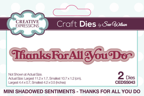 Creative Expressions Sue Wilson Craft Die Mini Shadowed Sentiments Thanks For All You Do (CEDSS043) (OUTLET)