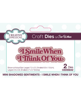 Creative Expressions Sue Wilson Craft Die Mini Shadowed Sentiments I Smile When I Think Of You (CEDSS042) (OUTLET)